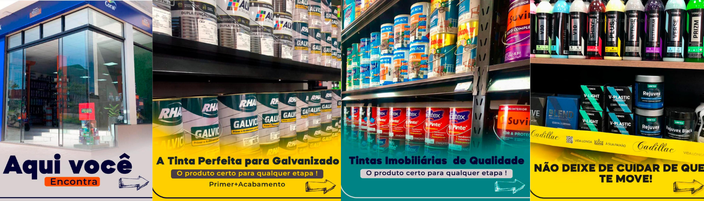 Panoramic view of Fenix paint store showing different product sections